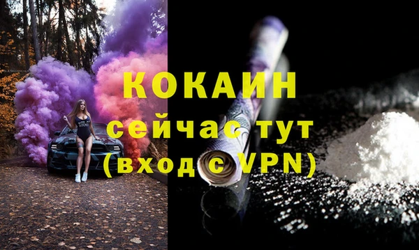 прущие грибы Волосово