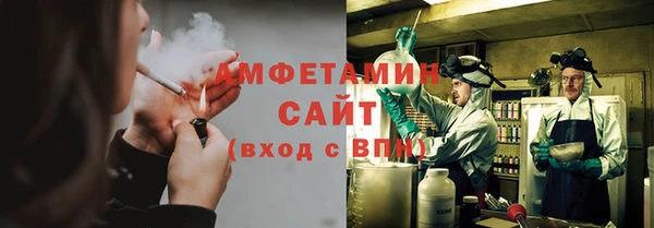 прущие грибы Волосово