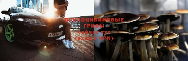 apvp Володарск