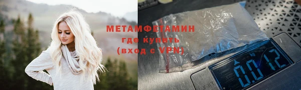 прущие грибы Волосово