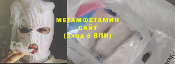 прущие грибы Волосово
