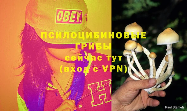 прущие крисы Волоколамск