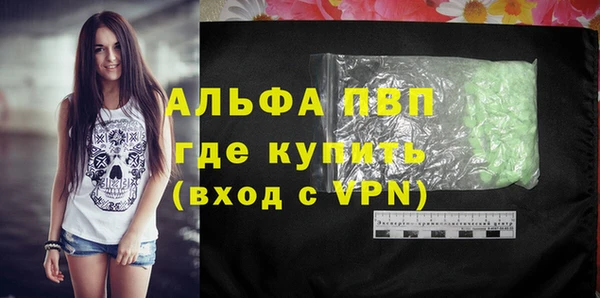 прущие грибы Волосово