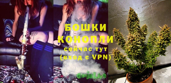 apvp Володарск