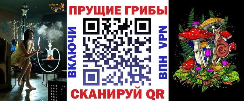 Галлюциногенные грибы мухоморы  мега как зайти  Заводоуковск  наркотики 
